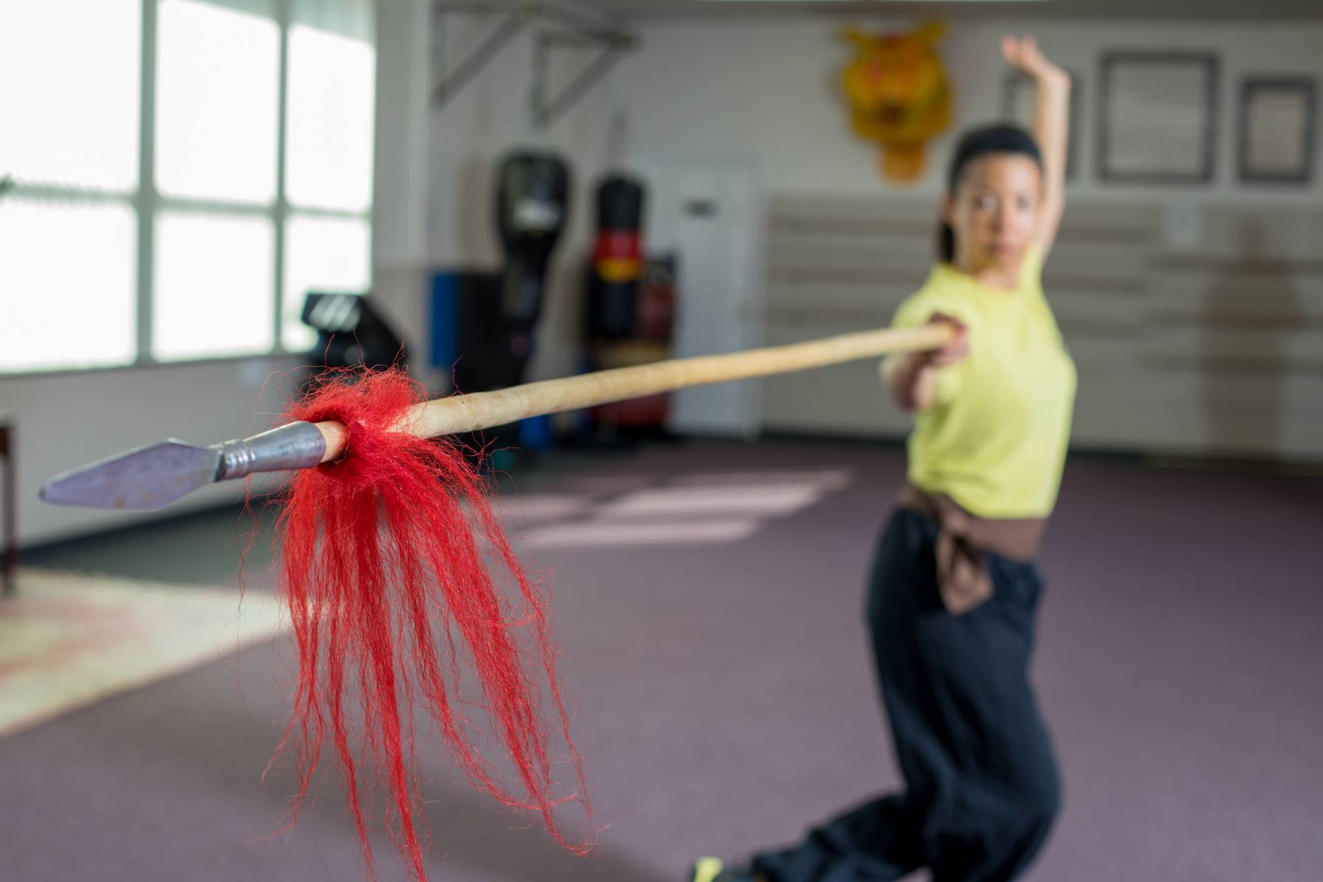 Advanced student holding a spear strike form
